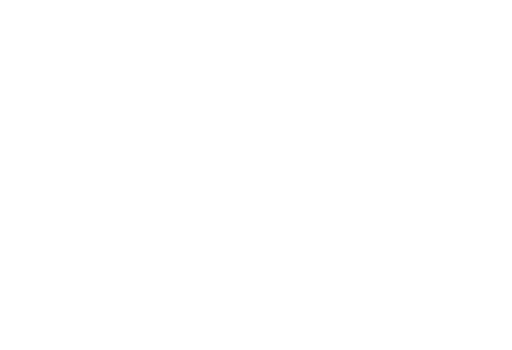 20 años